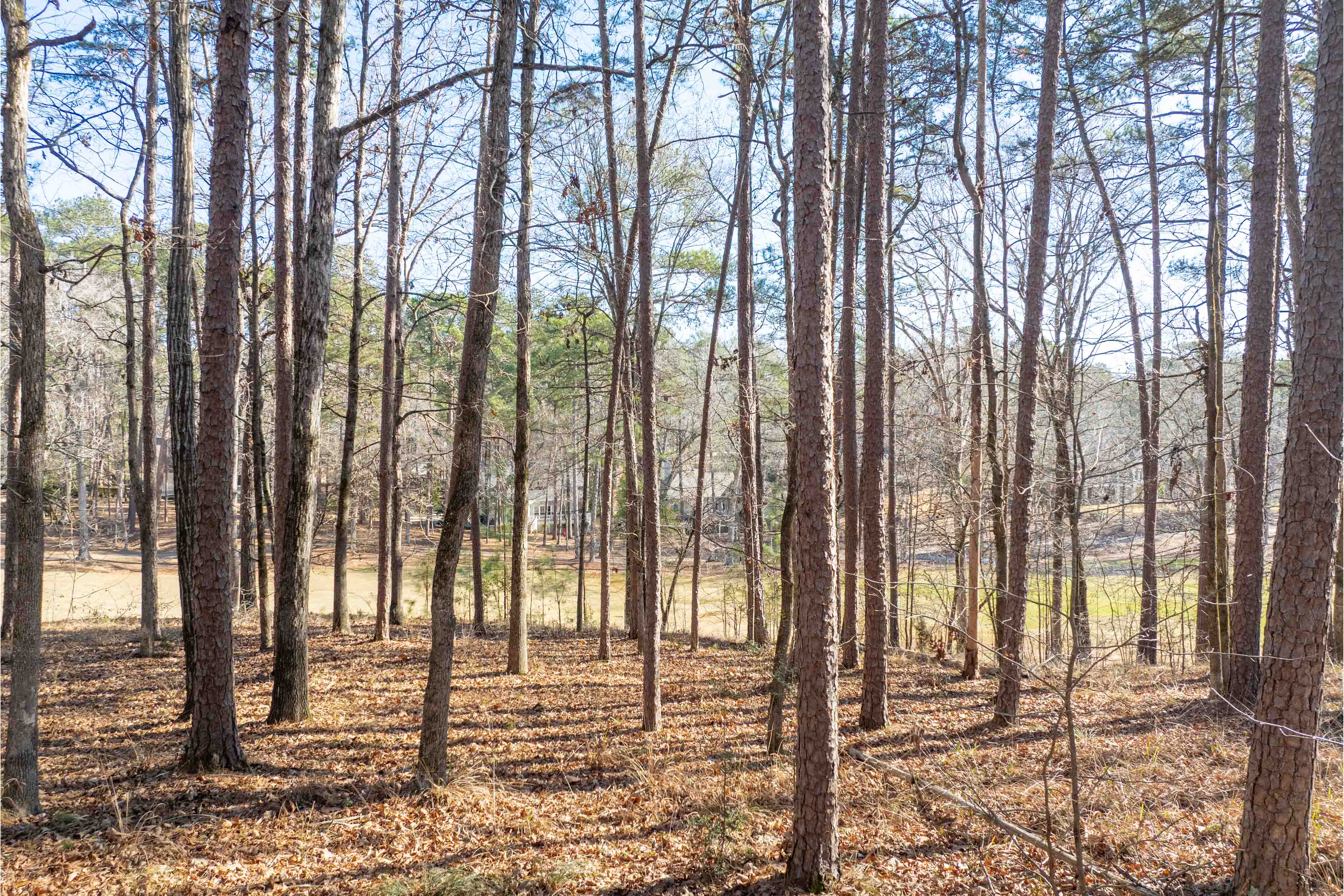 1180 Planter's Trail image 7